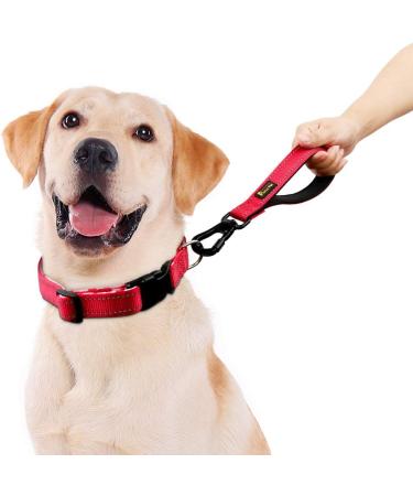 PLUTUS PET Strong Training Dog Lead with Rock Climing Carabiner Clip Relective Nylon Dog leash Padded Handle Training Lead for Large and Medium Dogs(25cm Red) 25 cm (Pack of 1) Red - Buy Online on GoSupps.com