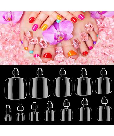 600Pcs Clear Toe Nail Tips | Rosy Finch Full Cover False Toenails | Acrylic DIY Foot Nails | 12 Sizes | A2-600 Pcs - Buy Online on GoSupps.com