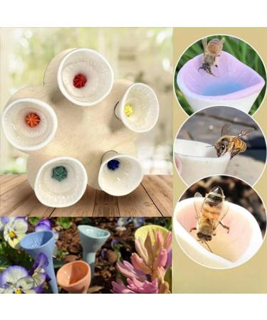 Drinking Cup for Pollinators Colorful Bee Insect Drinking Cup Bee Insect Drinking Cup Bee Cup Drinking Fountain for Yard Decoration Bees Need A Safe Place to Drink (Purple) - Buy Online on GoSupps.com