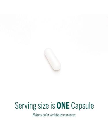 Genestra Brands Amino NAC - Vegan N-Acetyl-L-Cysteine Formula - 60 Capsules - Buy Online on GoSupps.com