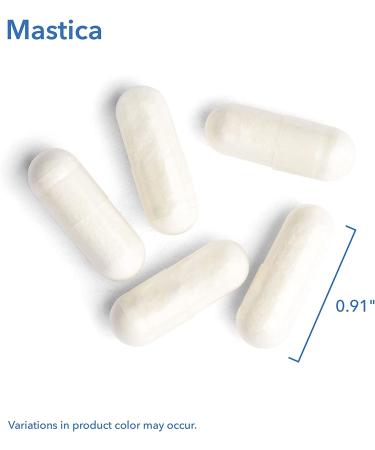 Allergy Research Group Mastica Chios Gum Mastic - 240 Vegetarian Capsules for Digestive Health - Buy Online on GoSupps.com