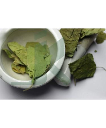 Gymnema Sylvestre Leaf Powder 200g (7oz) | Herbal Digestive Stimulant for Normal Glucose Tolerance - Buy Online on GoSupps.com