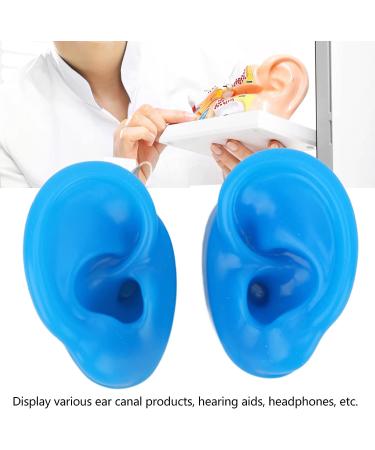 Soft Silicone Ear Model Pair for Demonstration & Teaching - Flexible Ear Piercing Tool- 18x23cm - Buy Online on GoSupps.com