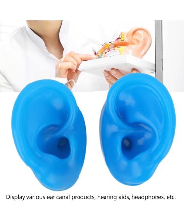 Simulated Silicone Ear Display Mould for Piercing Practice - Soft & Flexible (Large) - Buy Online on GoSupps.com