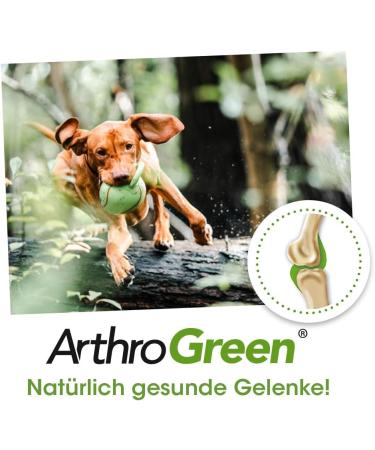 CDVet Natural ArthroGreen - Nutritional Joint Support for Horses Dogs & Cats - 50ml Herbal Supplement - Buy Online on GoSupps.com