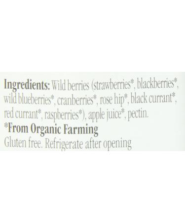 Rigoni di Asiago Fior Di Frutta Organic Wild Berry Fruit Spread 8.82 oz - 1 Pack - Buy Online on GoSupps.com