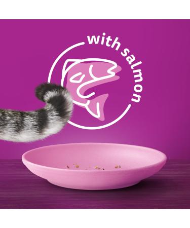 WHISKAS Seafood Selections Adult Dry Cat Food with Real Salmon 9.1kg Bag & Perfect Portions Adult Wet Cat Food - Chicken Beef Whitefish and Tuna Salmon 75g Trays (24 Pack) - Buy Online on GoSupps.com