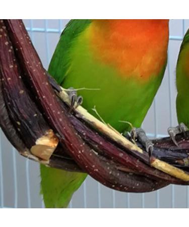 Qeeheng Natural Wood Bird Swing - Circular Hanging Ring with Bell | Parrot Cage Accessories for Nymphensittiche & More - Buy Online on GoSupps.com