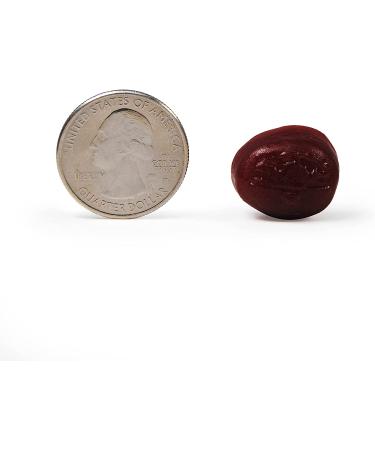 NEURIVA Plus Strawberry Gummies | Memory, Focus & Cognitive Support | Vitamins B6 & B12 | Nootropic Brain Supplement | 50ct - Buy Online on GoSupps.com