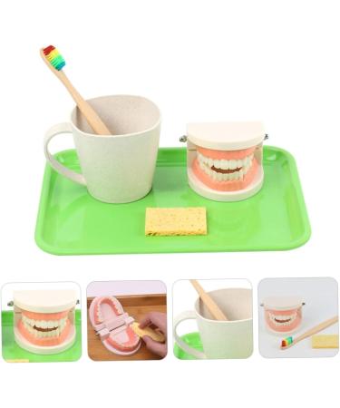 3 Sets of Early Dental Education Toys for Toddlers | Role Play Brushing Toys | Reusable Fun - Buy Online on GoSupps.com