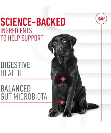 Royal Canin Dog Supplement for Digestion Soft Chews 160g - Buy Online on GoSupps.com