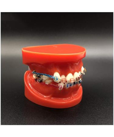 Dytah Toothpodont - Orthodontic Teeth Model with Mental Brackets & Ligature Ties | Red Study Tool for Teaching & Learning - Buy Online on GoSupps.com