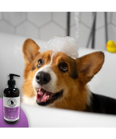 HugglePets Bubbly Tails Lavender 2 in 1 Shampoo Conditioner for Dogs 500ml | Fragrant Grooming Clean Fresh-Smelling Pups | No Paraben Preservatives and Vegan Friendly Lavender 2 in 1 Shampoo 500ml - Buy Online on GoSupps.com
