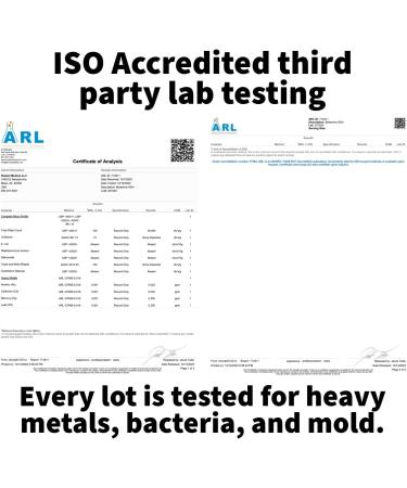 Dr. Westin Childs Dihydroberberine Supplement 200 mg for Women & Men Cardiovascular Gut Thyroid & Immune Support with Alpha Lipoic Acid - May be 5X More Effective Than Berberine HCL | 60 Ct - Buy Online on GoSupps.com