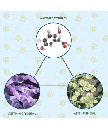 Pro Pet Works Organic 5-in-1 Oatmeal Dog Shampoo & Conditioner 17oz - Made in USA for Dandruff, Allergies & Itchy Skin - Puppy Grooming for Dogs & Cats - Soap & Sulfate Free - Buy Online on GoSupps.com
