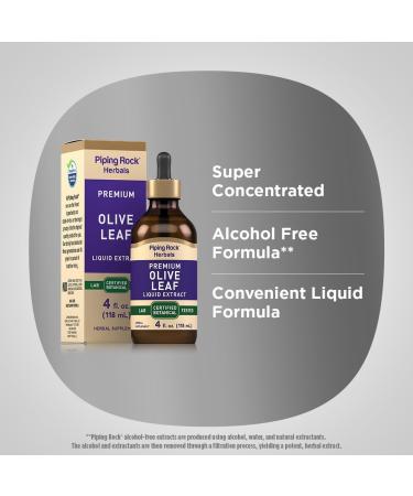 Piping Rock Olive Leaf Extract Liquid Drops | 4 Fl Oz | Alcohol Free Tincture | Herb Supplement | Olea Europaea | Vegetarian Non-GMO Gluten Free - Buy Online on GoSupps.com