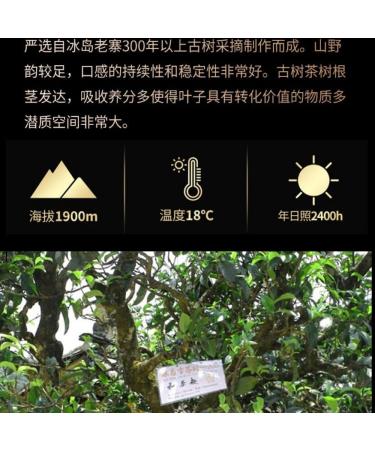 HQZM Yunnan Longzhu Tea Big Tree Tea Puerh Tea Raw Tea 250g For Daily Drink And Gift 882oz - Buy Online on GoSupps.com