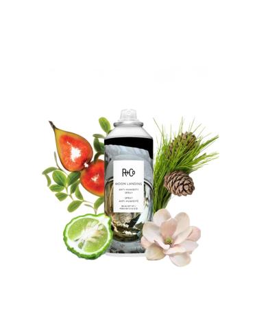 R+Co Moon Landing Anti-Humidity Spray 5 Ounce (Pack of 1) - Buy Online on GoSupps.com