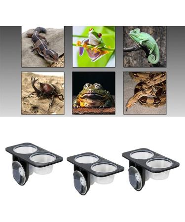Serenable 3 PCS Reptile Amphibians Chameleon Lizard Feeding Ledge Bowls Double Dish with Suction Cup - Buy Online on GoSupps.com