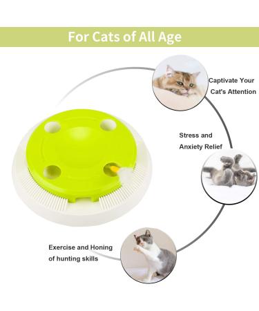Pettom Interactive Cat Toy | Electric Butterfly Funny Exercise Toy for Kittens | Rotating Pop N Play Toy with Replacement Feathers | Green - Buy Online on GoSupps.com
