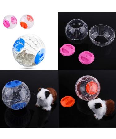 12CM Fashion Hamster Ball: Exercise Running Toy for Tiny Hamster - Buy Online on GoSupps.com