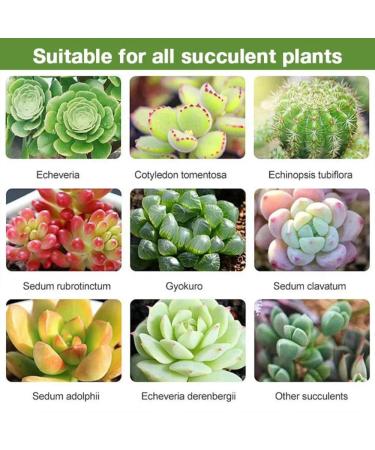 Generic Succulent Plant Bud Fertilizers Organic Succulent Plant Bud Fertilizer for Succulent Planting Accessories - Buy Online on GoSupps.com