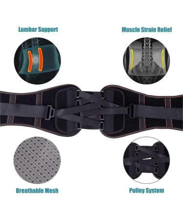 King of Kings Lower Back Brace Pain Relief with Pulley System - Adjustable Lumbar Support Belt for Women and Men - Ideal for Sciatica, Spinal Stenosis, Scoliosis, Herniated Disc - Large Size - Buy Online on GoSupps.com