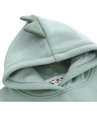 Famuka Little Kids Dinosaur Hoodie Toddler Boy Girl Sweatshirt - Unisex Casual Tops (Green, 9 Months) - Buy Online on GoSupps.com