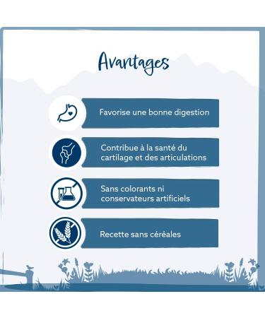 Wild Animal Senior Premium Dry Dog Food for Senior Dogs Turkey with Sweet Potato and Cranberry Grain Free Pack of 1 (1 x 6 kg) - Buy Online on GoSupps.com