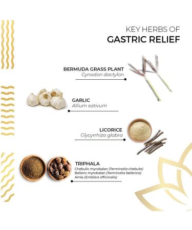 Kerala Ayurveda Gastric Relief Herbal Tablets | Natural Prebiotic for Stomach Acid Balance & Digestion | Relieves Gas & Discomfort | 90 Count - Buy Online on GoSupps.com