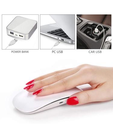 Makartt 6W LED Nail Dryer Curing Lamp USB Portable for Gel Nails - White C-01 Mini Nail Lamp - Buy Online on GoSupps.com
