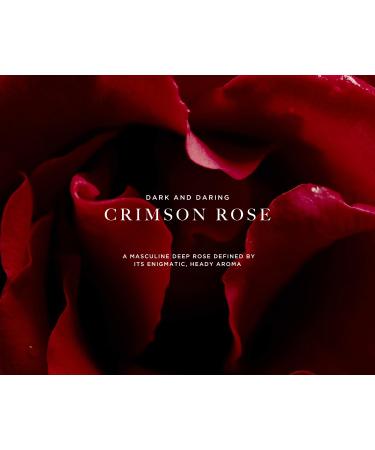 Caswell-Massey R S Eau de Parfum Travel Size Floral Spicy Amber Cologne for Men Infused With Essential Oils Made in USA 0.5 Fluid Ounces ROS 0.5 Fl Oz - Buy Online on GoSupps.com