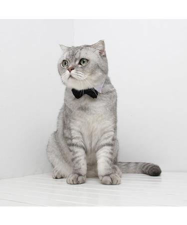 Buy SUNTRADE Adjustable Formal Pet Bow Tie for Dogs & Cats - Wedding Costume (L Black) - International Shipping Available - Buy Online on GoSupps.com