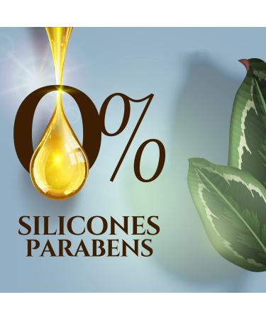 Parachute Advansed Shea Hair Oil with Coconut 200 ml - Deep Nourishment, Strengthens, Adds Shine - Buy Online on GoSupps.com