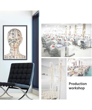 Female Acupuncture and Moxibustion Model 60cm - Medical Acupuncture and Moxibustion Model - Human Acupuncture and Moxibustion Model - for Chinese Body Statues of Doctors - Buy Online on GoSupps.com