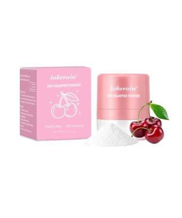 Dry Shampoo Powder Non Aerosol Dry Shampoo Powder Dry Shampoo Travel Size with Modified Corn Starch Get Instant Fullness No White Cast Suitable for Oily and All Hair Colors (02)