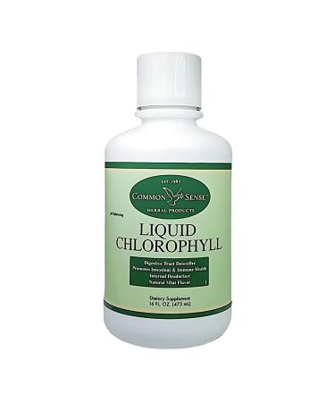 Liquid Chlorophyll 16oz. | Natural Mint Flavor | Immune Health | Intestinal Support