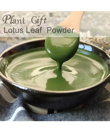 Plant Gift 100% Pure Lotus Leaf Flour Natural Powder of Lotus Leaves Great Taste for Drinks Smoothies Baking Cookies Cakes and Drinks 100g/3.25oz - Buy Online on GoSupps.com