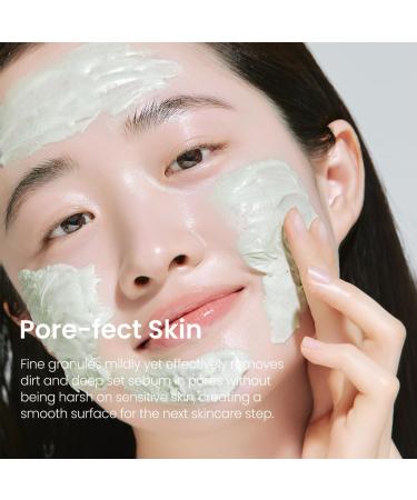 Fraijour Wormwood Enzyme Cleansing Pack Korean Powder Face Cleanser & Exfoliant with Papaya Enzyme AHA BHA PHA Low pH Clears Acne & Pores Smooths Texture for All Skin Types 2.82 oz. - Buy Online on GoSupps.com