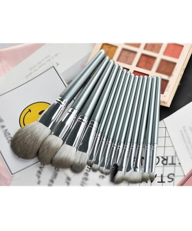 14pcs Makeup Brush Set - Powder Blusher Eyeshadow & Highlighter Brushes for Flawless Application - International Shipping Available - Buy Online on GoSupps.com