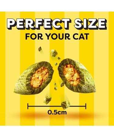 DREAMIES Cat Treats with Catnip Flavour 350g MegaTub Pack of 2 non applicable - Buy Online on GoSupps.com