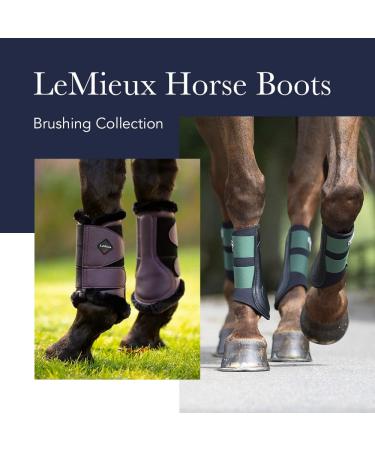 LeMieux Unisex Mesh Brush Boots X-Large Black - Premium Horse Gear for All-Weather Protection | Shop Internationally at Your Store Name  - Buy Online on GoSupps.com