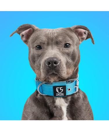 Buy Tspro Tactical Dog Collar - Military Quality 3.8cm Wide Adjustable L Size (52-60cm) - Strong & Robust with Metal Buckle - Blue - Buy Online on GoSupps.com