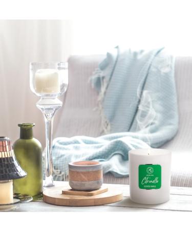 Scented Citronella Candle 200g - Aromatherapy Soy Wax Candle for Home - Perfect Gift & Fresh Aroma Freshener - Buy Online on GoSupps.com