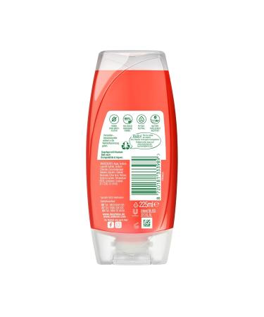 Duschdas Shower Gel Orange Ginger - 6 Pack (225 ml Each) | Refreshing Daily Shower Bath with Energizing Fragrance - Buy Online on GoSupps.com