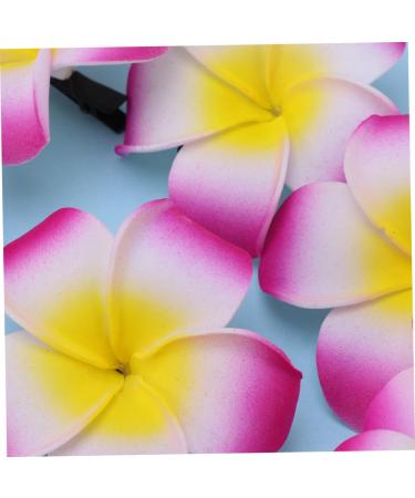 Angoily Hair Accessory for Girls Hair Clips for Girls Barrettes for Girls Hibiscus Flower Hair Clips Summer Hair Clips Accesorios Para Plumeria Hair Clip Hair Accessories The Flowers - Buy Online on GoSupps.com