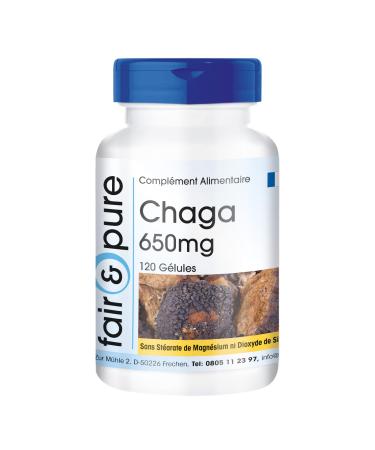 Fair & Pure - Chaga 650mg (Inonotus obliquus) - natural - vegan - 120 capsules