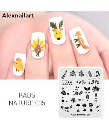 Alexnailart Nail Art Stamping Plates Image Template Nature Plant Leaf Pattern Design Stamper Nail Art DIY Print Manicure Nail Art Stencil Tools NA035 - Buy Online on GoSupps.com