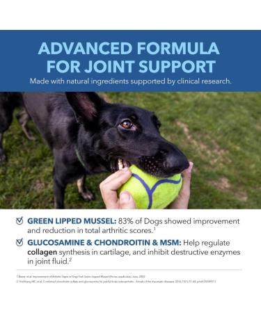Petpal Glucosamine for Dogs - Hip & Joint Health Soft Chews with Chondroitin & MSM - Functional Dog Supplement for Pet Mobility Support with Kelp + Vitamins C and (Chicken Flavor) Original - Buy Online on GoSupps.com