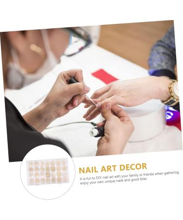 Mikinona 1 Box Nail Art Accessories Nail Glitter Manicure Decor Nail Rhinestones Gold Nail Decor Nail Charm Sticker Pearl Jewelry Gems Nail Star Earth Tones Nail Polish Rivet Sequins 3d - Buy Online on GoSupps.com